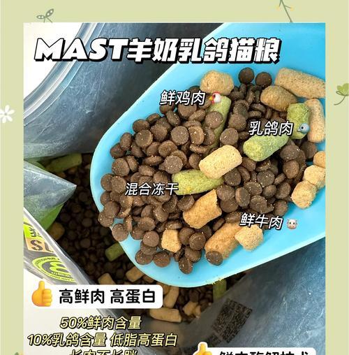 两个月大的猫咪应该吃什么猫粮?