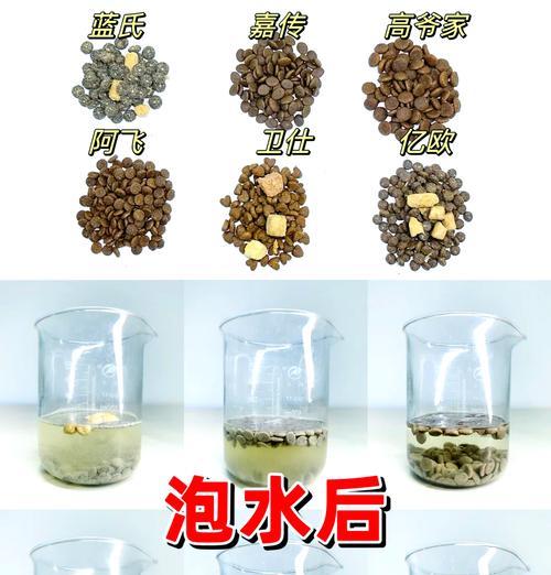 猫粮泡水后应该是什么样子?泡水的正确方法是什么?