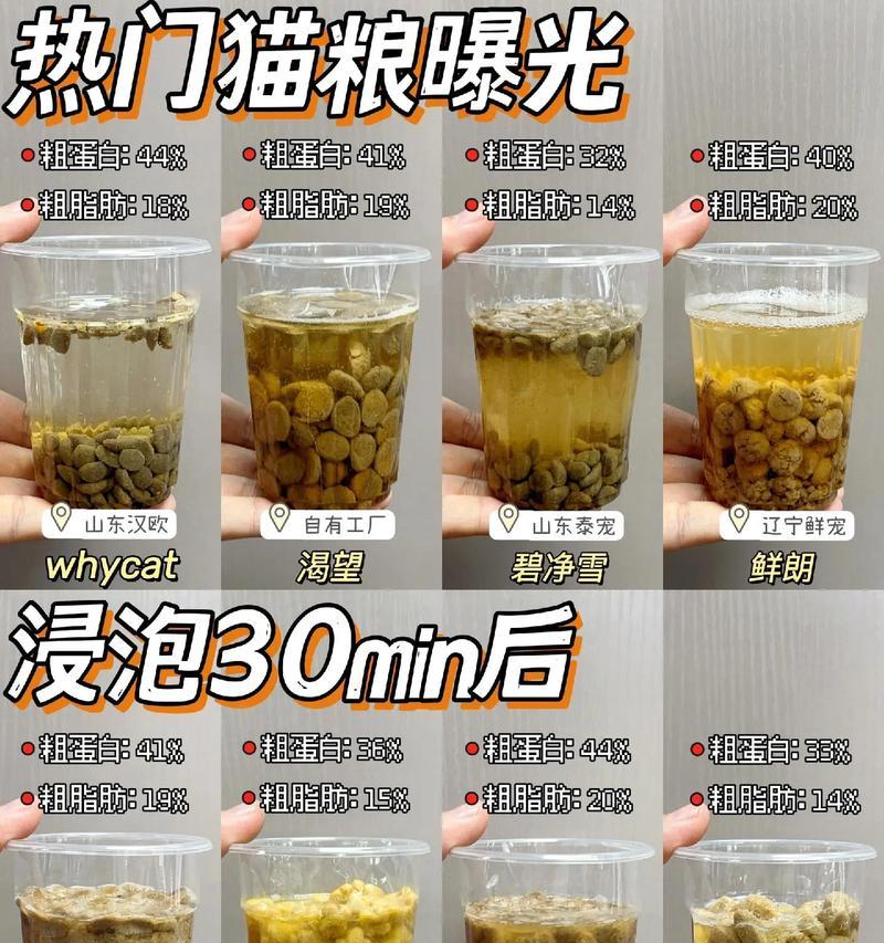 用什么水泡猫粮更合适?