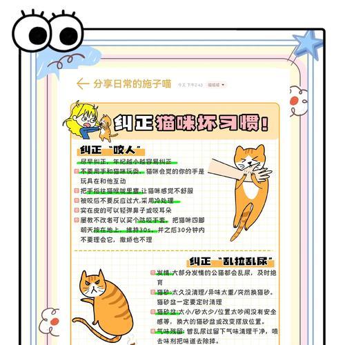 猫哈气撤回猫粮后如何处理?