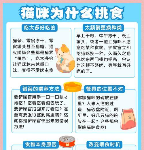 猫粮味道影响吸收吗?如何改善?