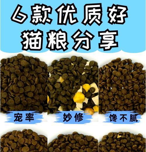 猫芝士可以作为猫粮添加剂吗?喂食方法有哪些?