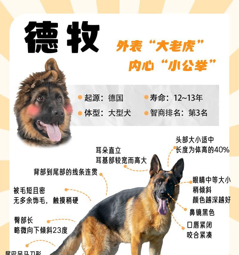 三个月大的德牧需要驱虫吗?驱虫的费用大概是多少?