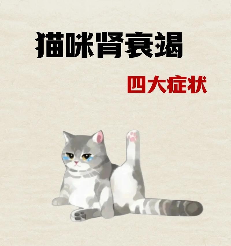 哪些猫粮可能导致肾衰竭？