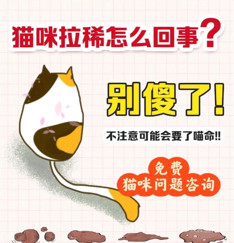 猫咪吃完猫粮后拉肚子的原因是什么?