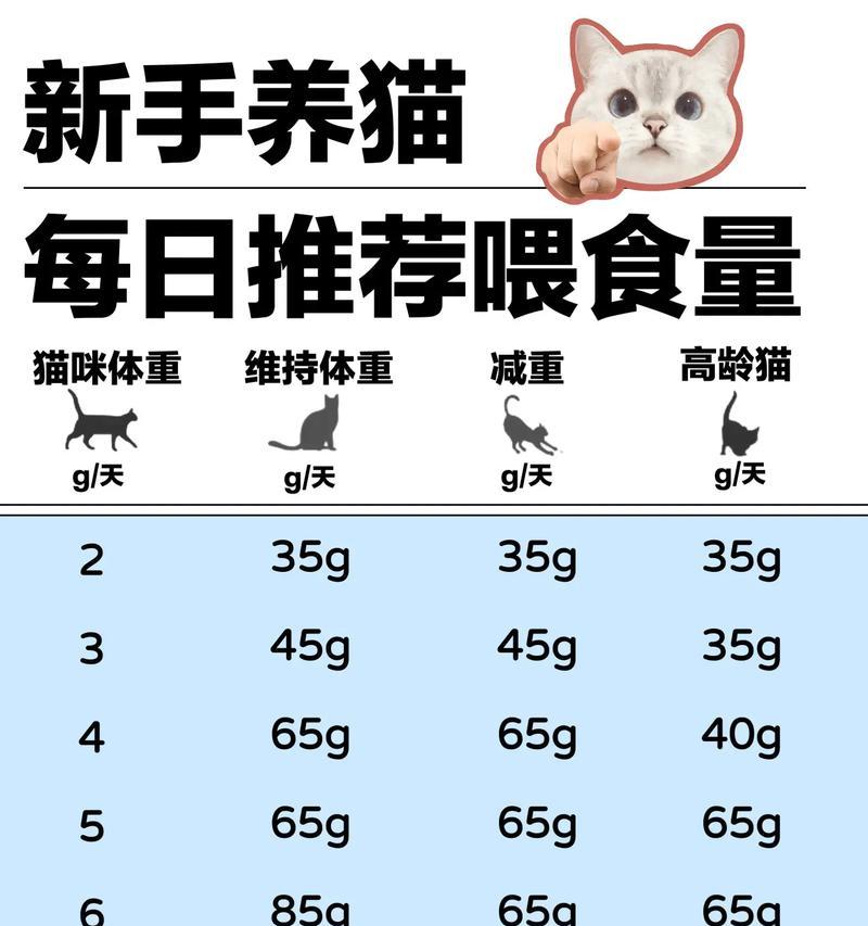 猫咪是否必须每天吃猫粮?不喂猫粮会有哪些后果?