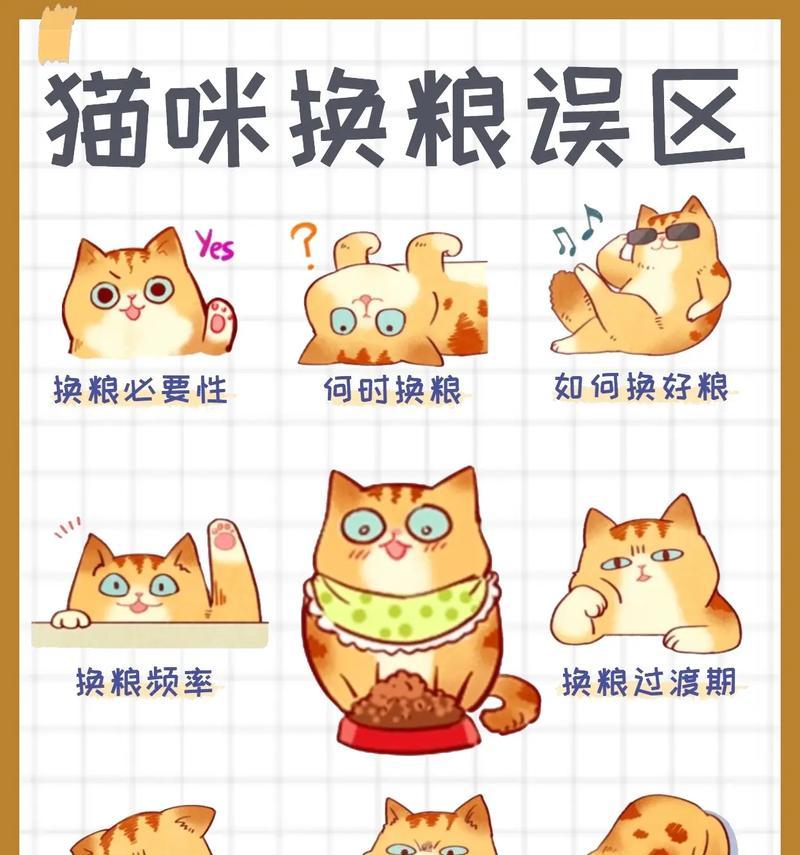 不在家时如何给猫咪更换猫粮?有哪些注意事项?