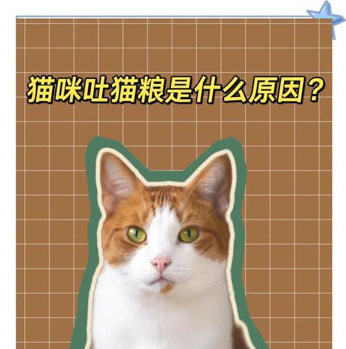 猫粮出现苦味是什么原因?猫咪吃苦味猫粮需要治疗吗?