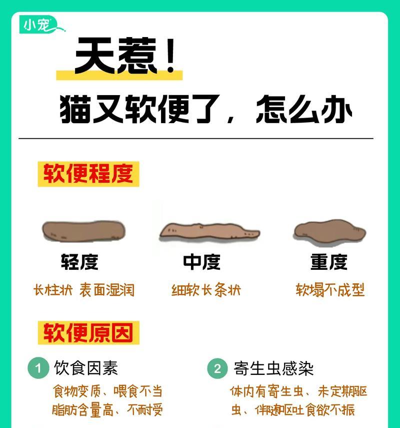 皇家猫粮会导致猫咪软便吗?软便的原因是什么?