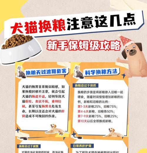 5岁猫换粮可行吗？原因是什么？