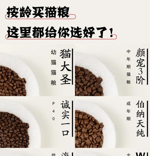 一岁以下的猫怎么吃猫粮?不同年龄阶段猫咪的饮食需求有何不同?