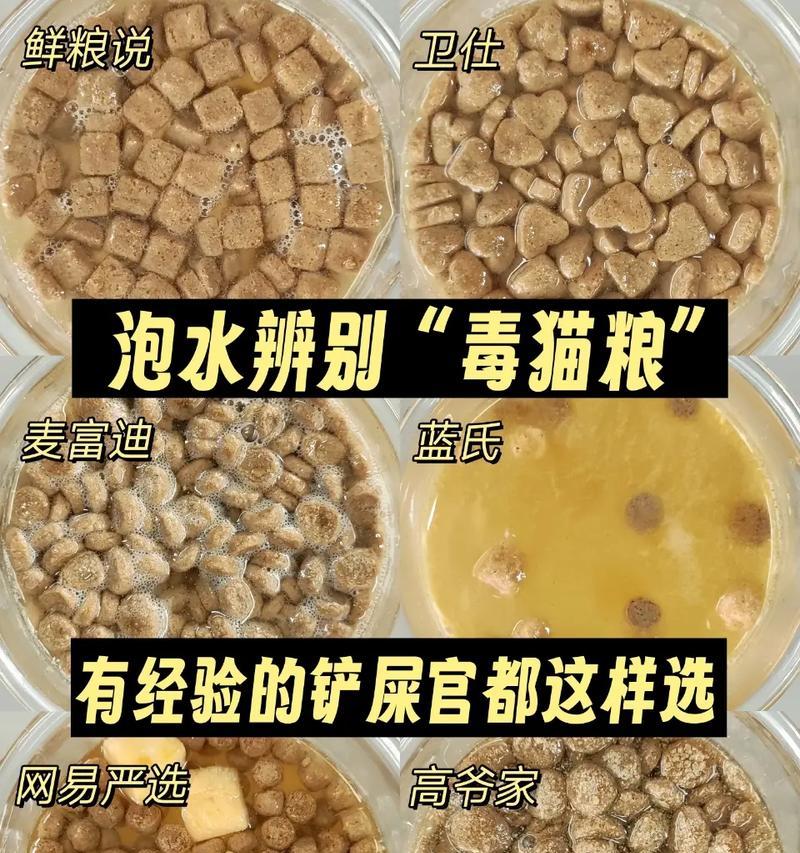 猫粮可以放一点水煮吗为什么?这样做有何好处?