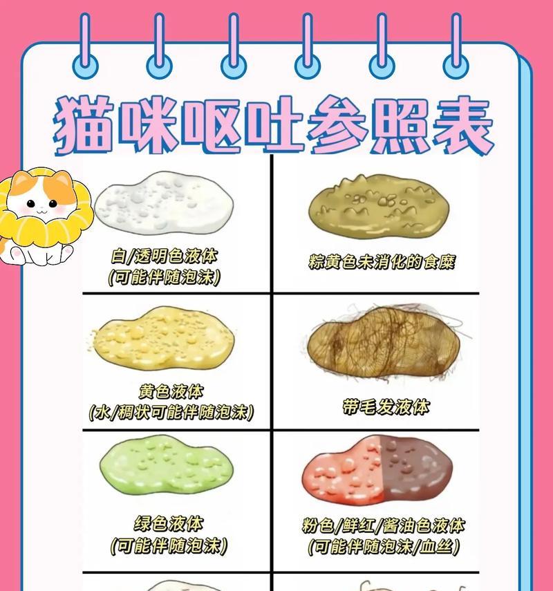 猫咪呕吐不完整猫粮的原因是什么?