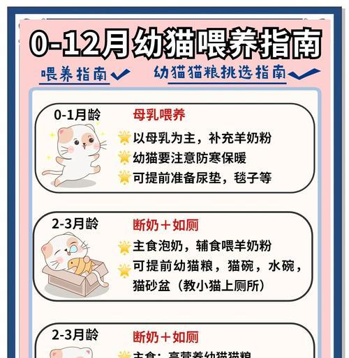 散养小猫可以喂什么猫粮?选择标准是什么?