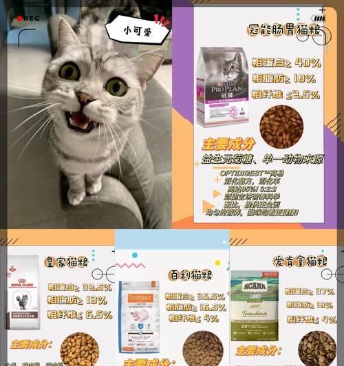 猫咪吃猫粮后多久排便算正常?如何判断其消化情况?