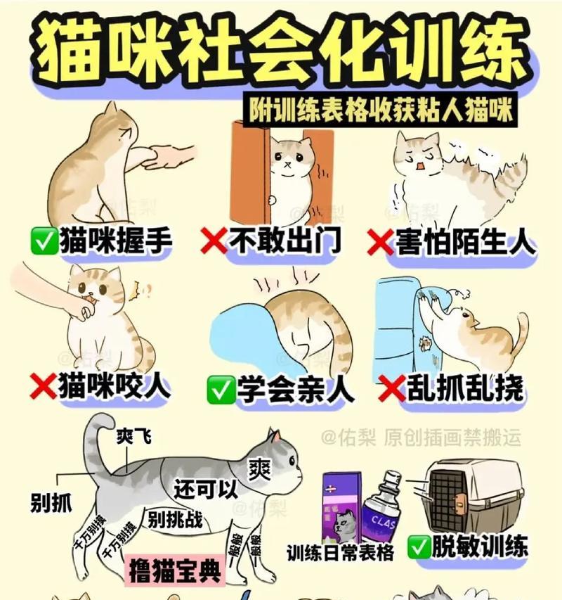 如何训练猫咪大口吞食猫粮?培养这种习惯有什么好处?