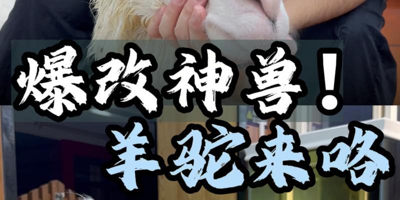 羊驼插件的用途是什么?