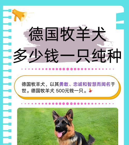 两条德牧一起养一个月多少钱?养德牧的费用预算如何?