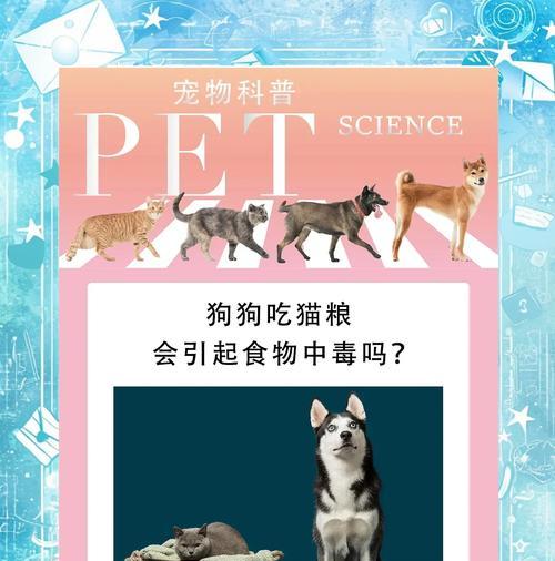 那些只吃新鲜猫粮的人被称作什么？