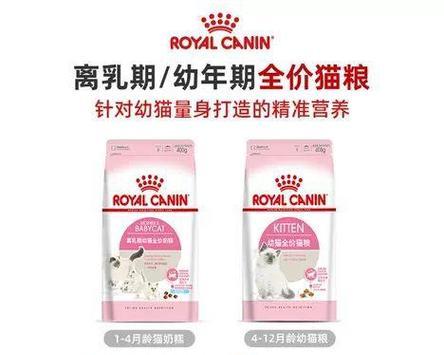 如何挑选性价比高的奶糕猫粮?