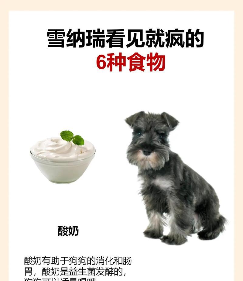 45天的雪纳瑞一天吃多少合适?如何为幼犬制定合适的饮食计划?