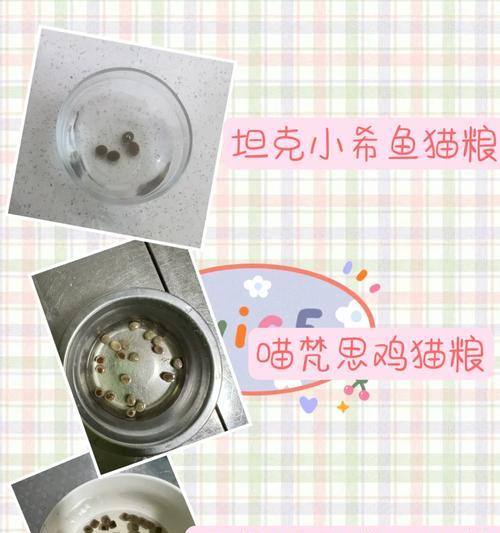 猫粮不能用了怎么回事?如何判断猫粮是否变质?