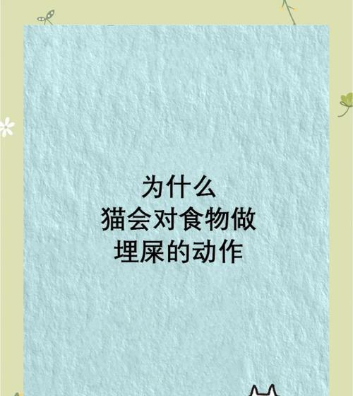 猫咪埋食猫粮的行为代表什么?