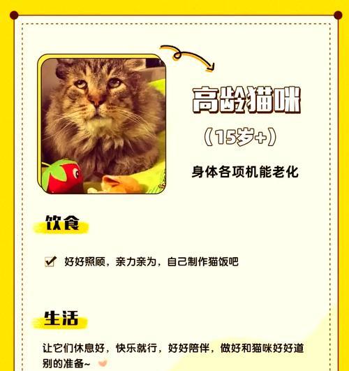 猫咪拒绝吃落地粮怎么办?如何改善饮食习惯?
