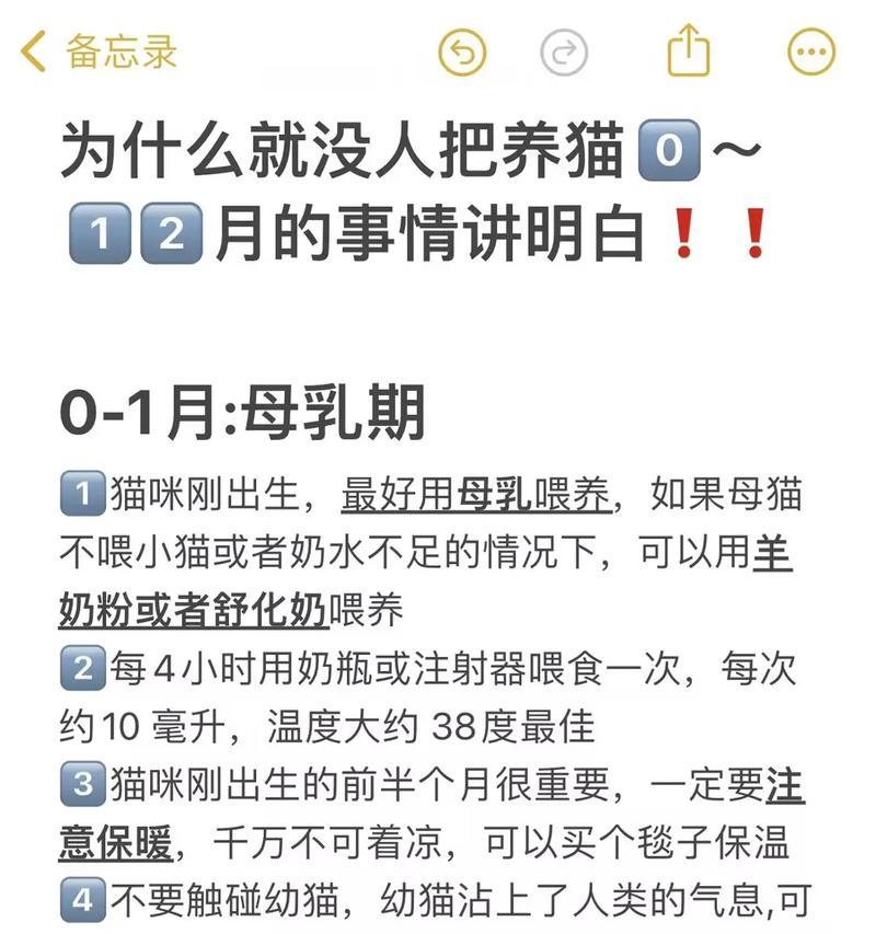 如何教会猫吃奶泡粮?这个过程中需要注意什么?