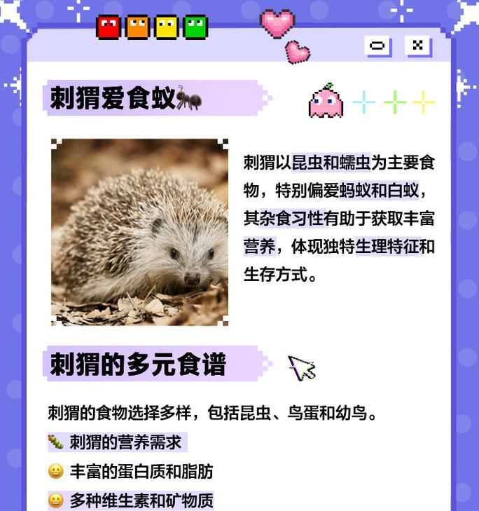 刺猬可以吃猫粮吗?