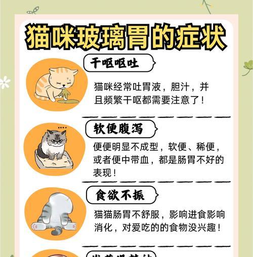 误食猫粮后小猫肠胃炎怎么办?