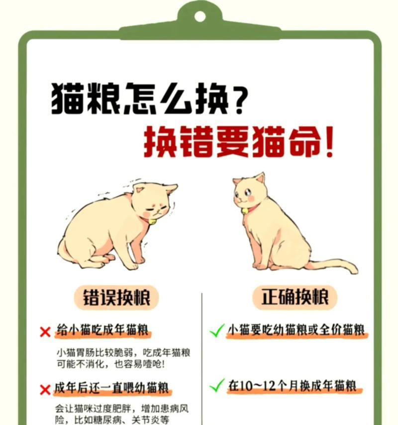 猫咪换猫粮时应该注意什么?如何避免不适?