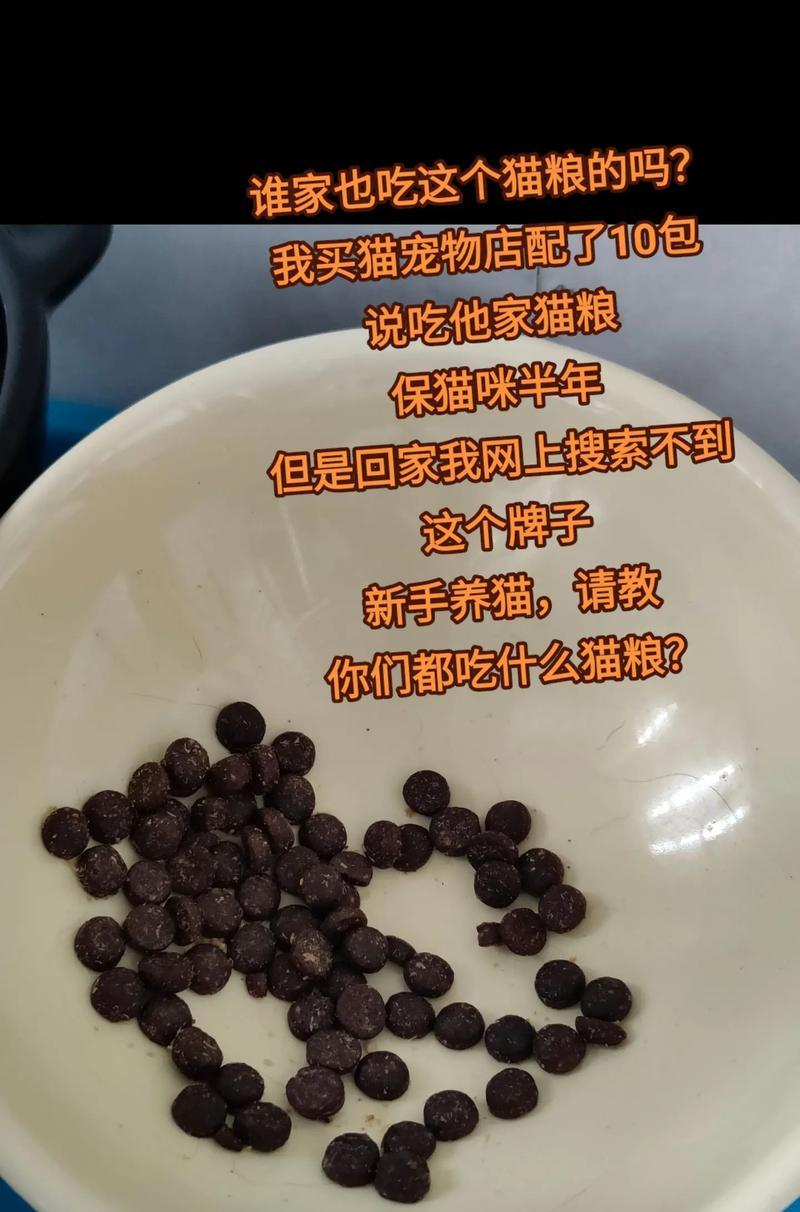 猫咪咬碎猫粮应该怎么办?