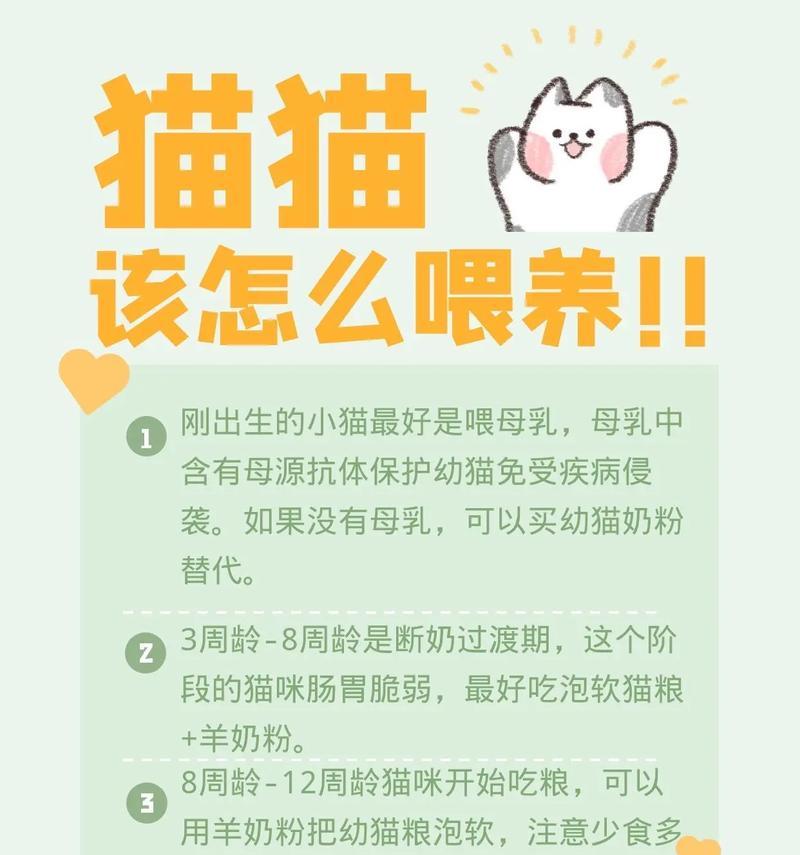 猫咪眼睛有问题时如何喂食猫粮?有哪些注意事项?