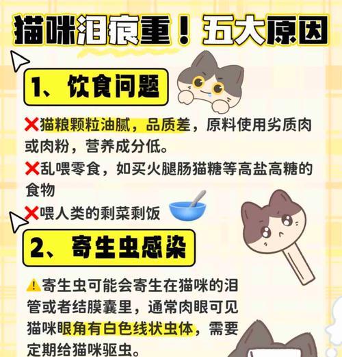 猫咪泪痕重是否与猫粮有关?如何选择减少泪痕的猫粮?