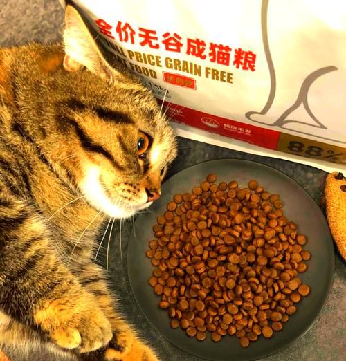 市场上最贵的猫粮是哪一种?它的价格为何如此之高?
