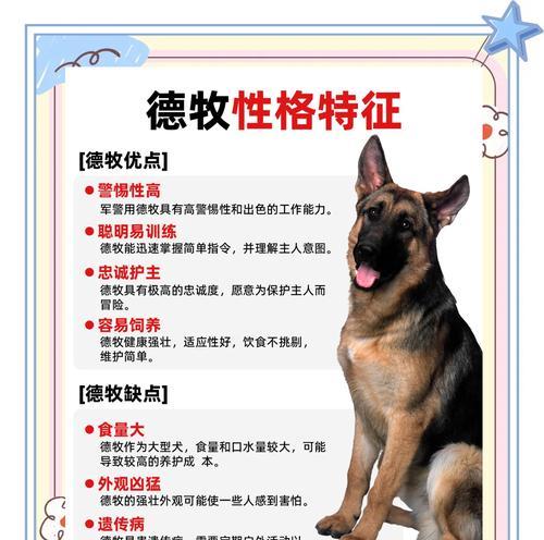 5个月德牧一天喂多少次狗粮?德牧喂食频率如何确定?