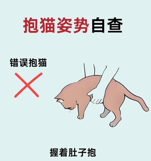 母猫如何照顾小猫？有哪些行为表现？