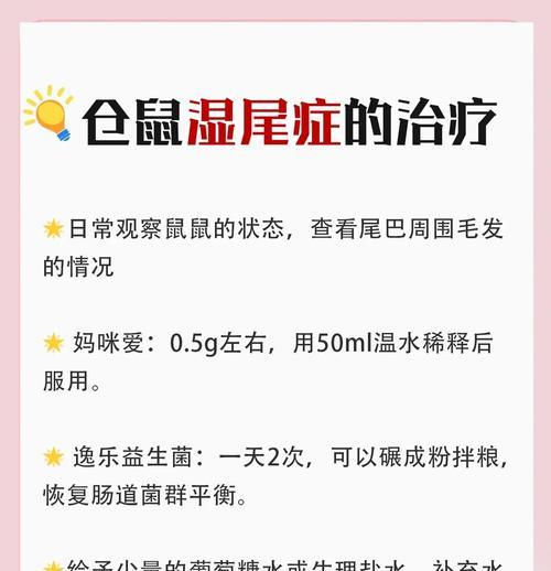 湿尾病仓鼠能自愈吗？如何提供必要的护理？