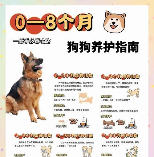 五个月大的哈士奇应该喂多少肉？喂食肉类的正确方法是什么？