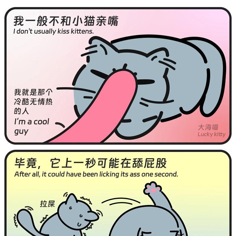 小猫爱舔脸，是什么原因呢（揭开小猫舔人的秘密）