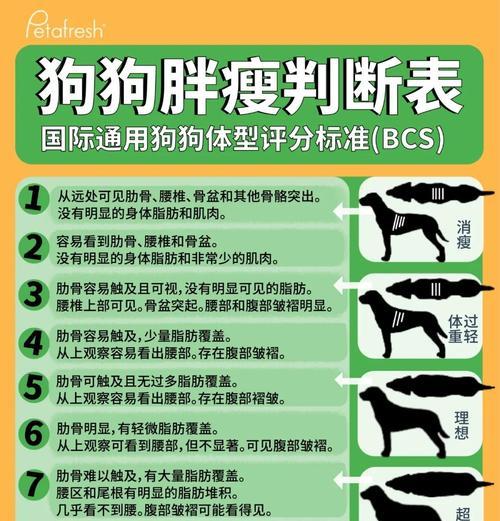哈士奇的体重上限是多少？它们的体型变化是怎样的？