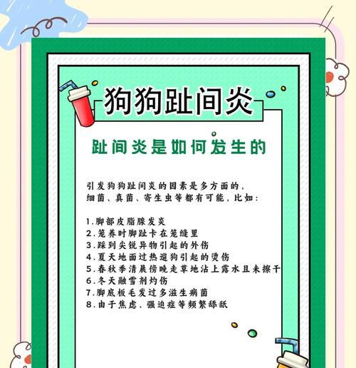 狗狗夏天不退毛怎么办（以宠物为主）