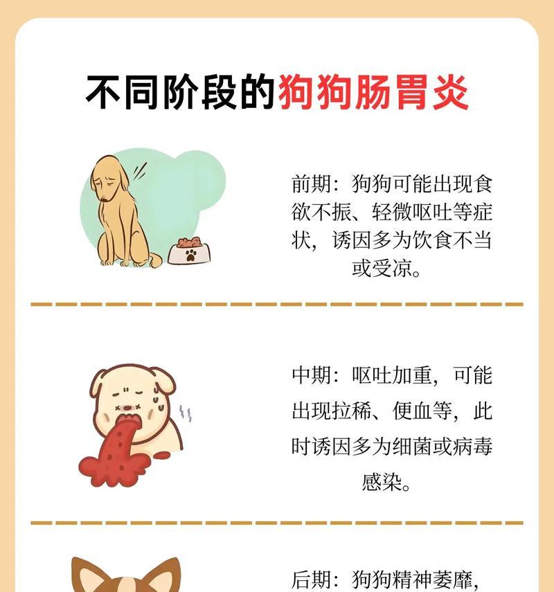 狗狗胃炎的症状有哪些？如何在家治疗狗狗胃炎？