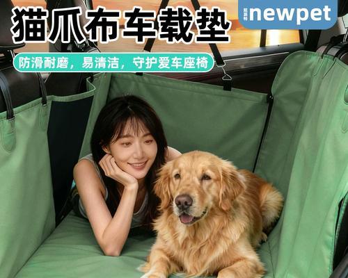 坐车做梦，宠物小狗抱在怀中（与宠物共游）