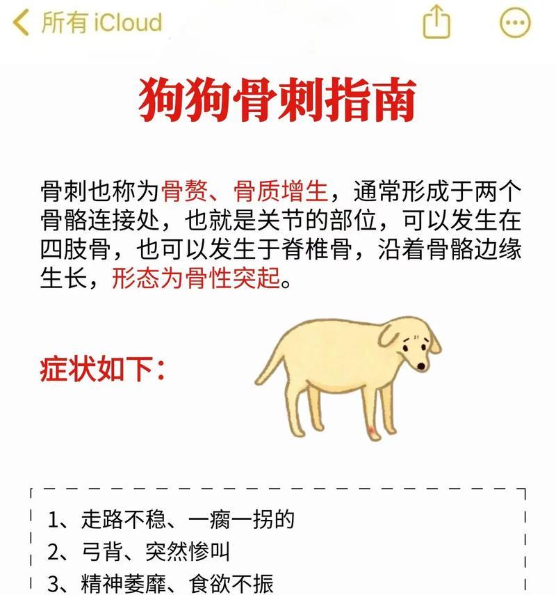 小狗食用骨头的利弊（了解小狗吃骨头的优劣）