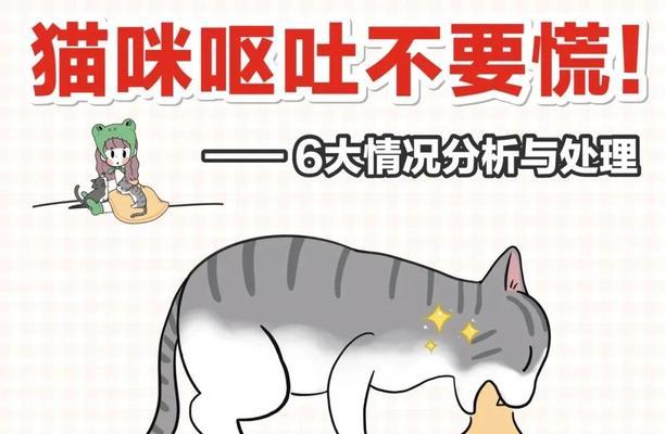 小猫晚上吐黄水的原因分析（探究宠物饮食和生活习惯对健康的影响）
