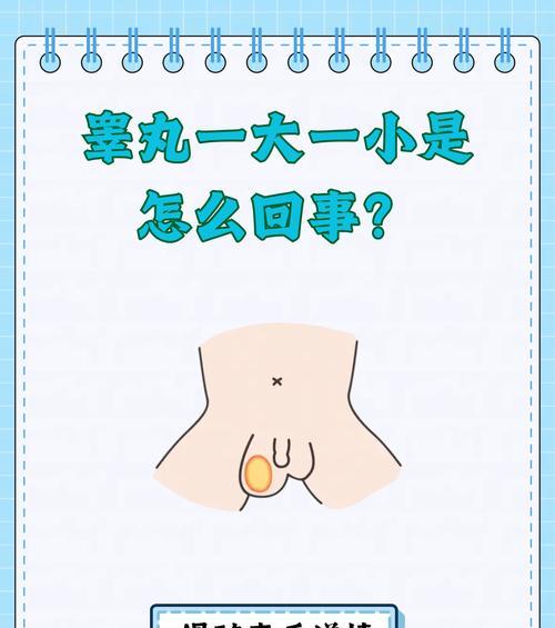 狗狗单侧阉割，你需要知道的影响（狗狗单侧睾丸是否影响健康）