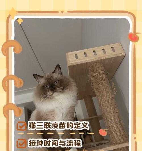 宠物猫咪的三联疫苗注意事项（预防猫咪疾病）